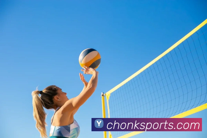 体育下注平台生态图