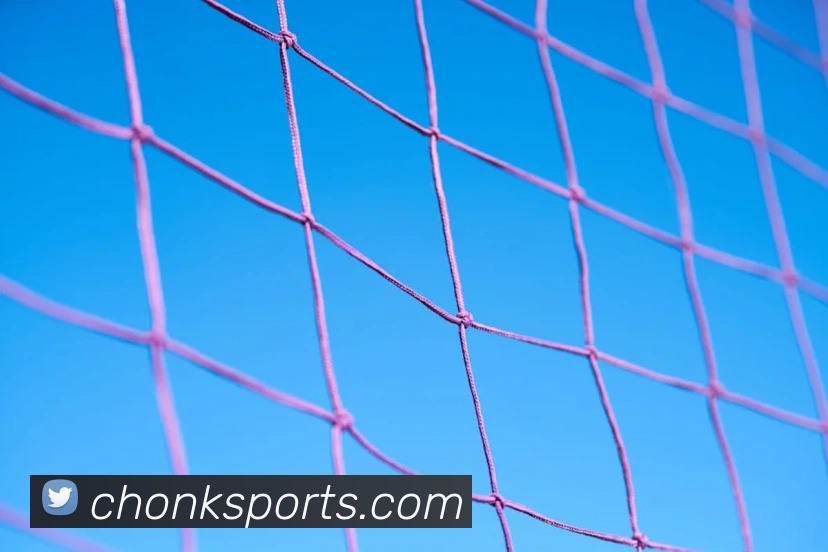 体育下注全站App